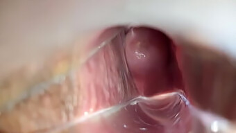 Intense Pleasure: Vagina And Orgasm In Closeup Detail