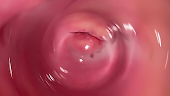 Video In Hd Di Una Sessione Di Masturbazione Con Vista Ravvicinata Di Una Vagina Stretta E Un Pene