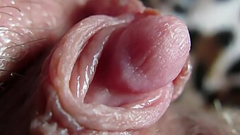 Intense Close-Up Van Mijn Enorme Clitoris In Actie