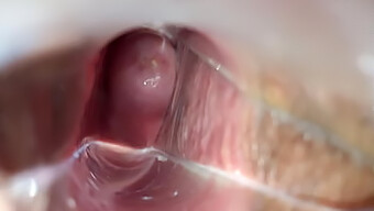 Vídeo Caseiro Captura Orgasmo Intenso Dentro Da Vagina